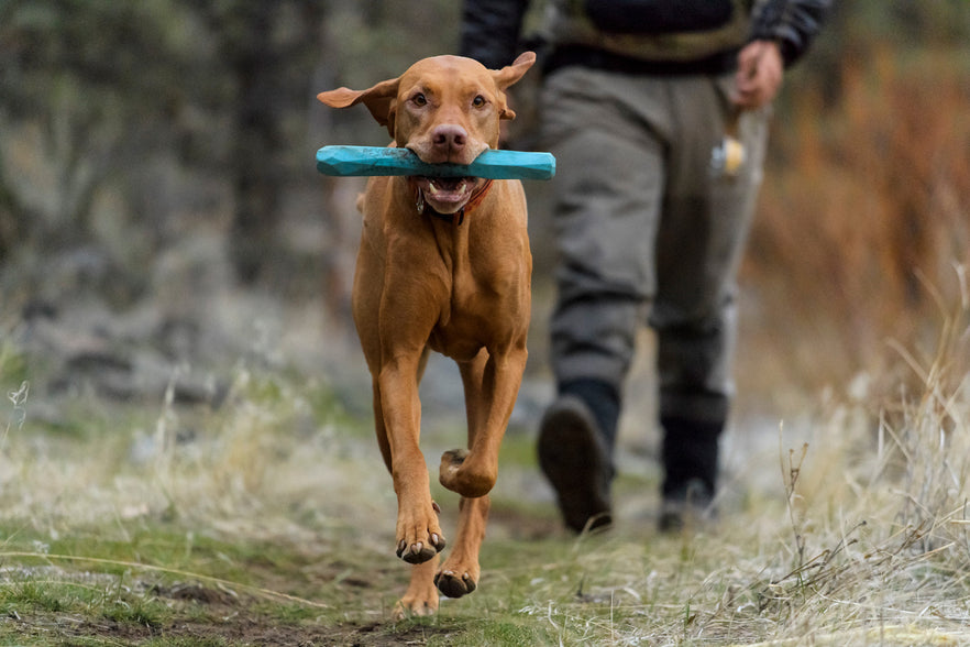 ruffwear toys