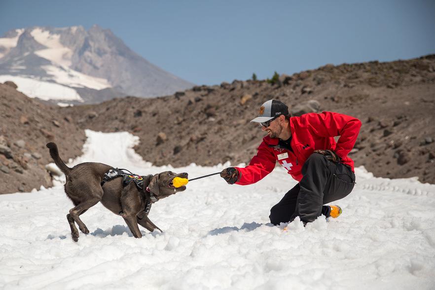 ruffwear toys