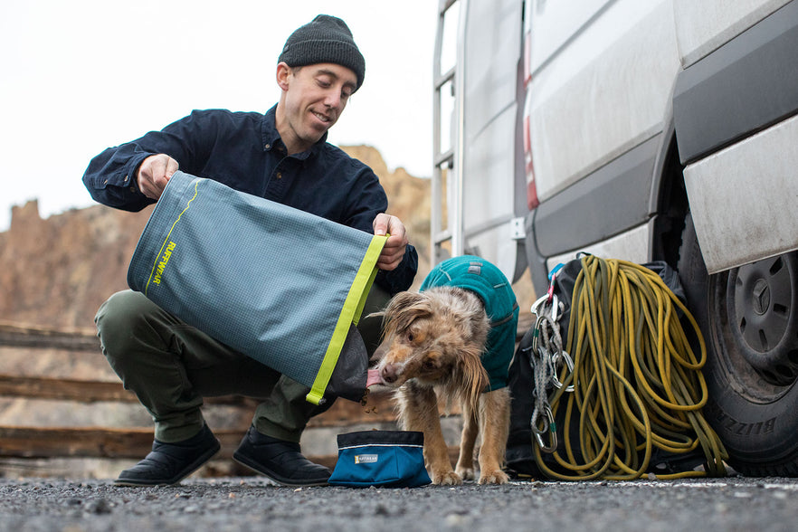 carrier dog food