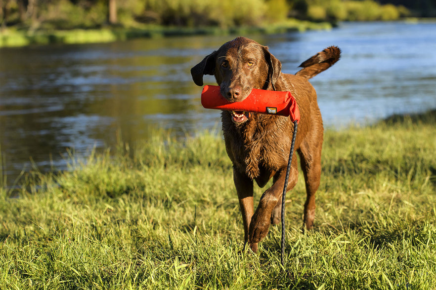 ruffwear toys