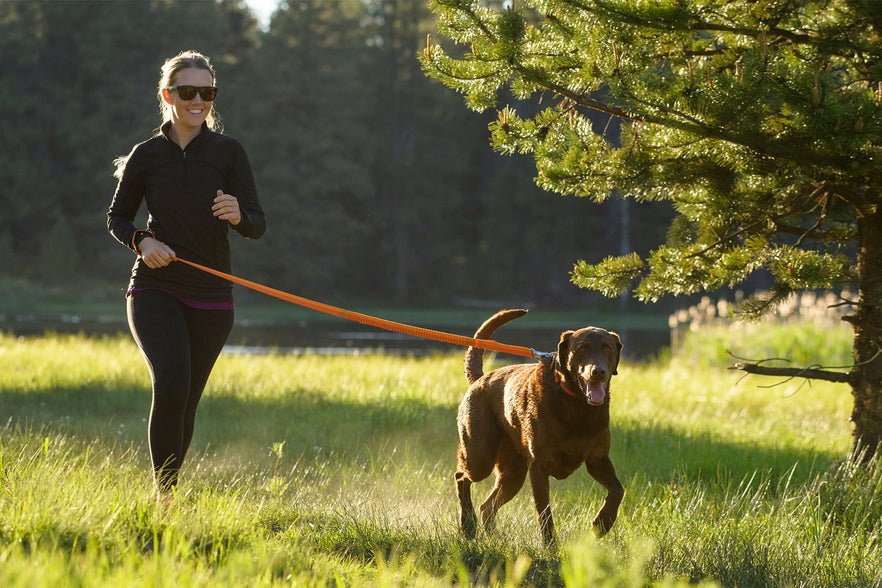 Roamer™ Bungee Dog Leash | Running 