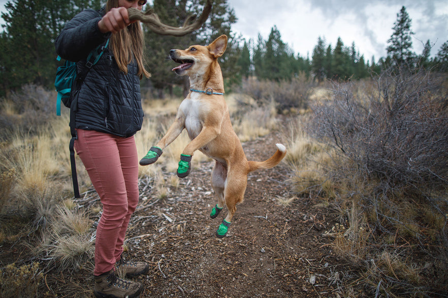 ruff dog boots