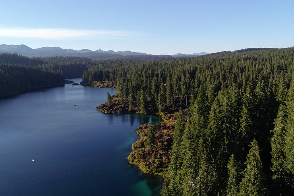 Blue river with green tree wilderness along the banks.