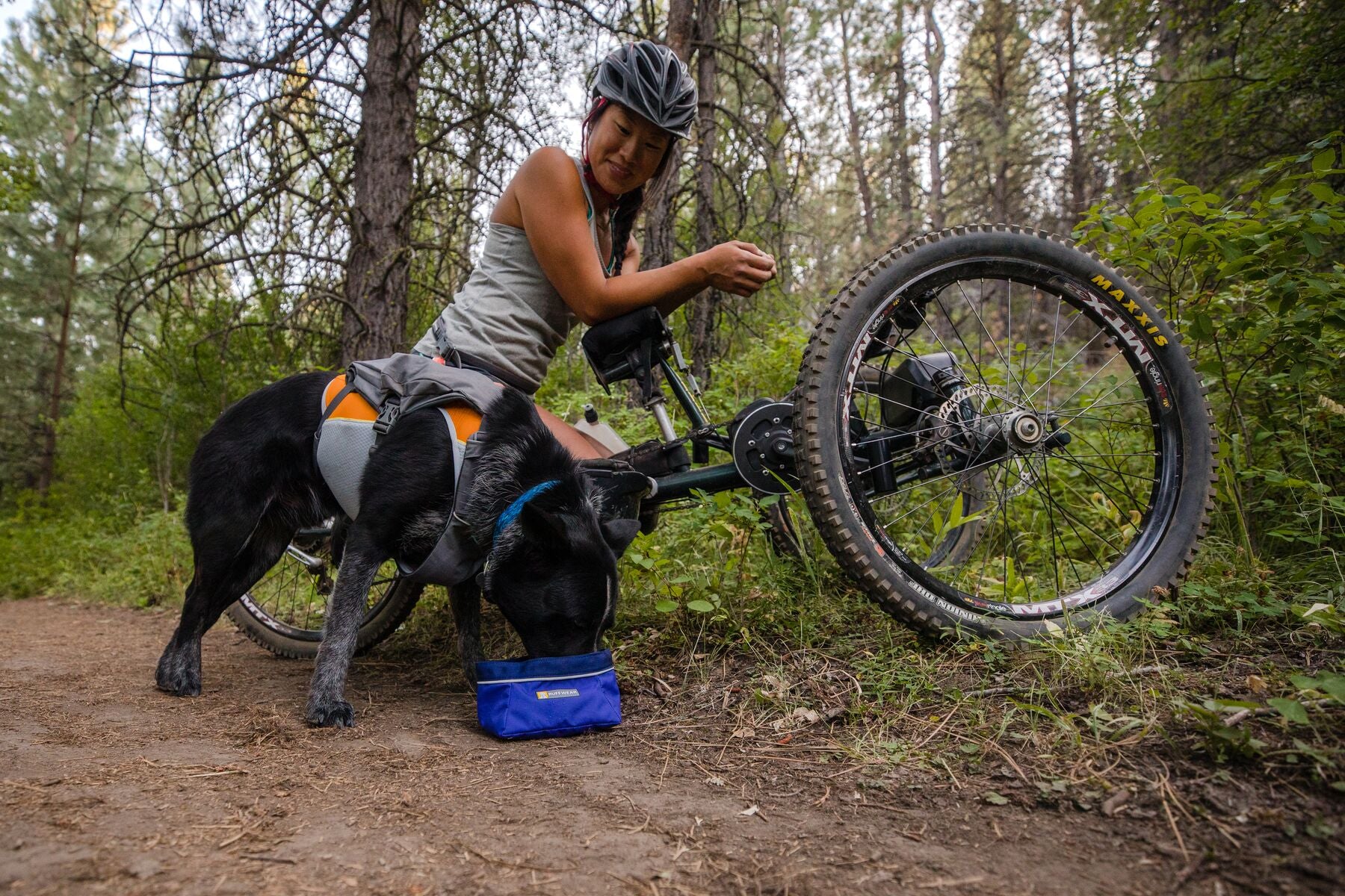 Adaptive athlete on a off road handcycle on trail while dog Bernie drinks out of quencher dog bowl at her side.