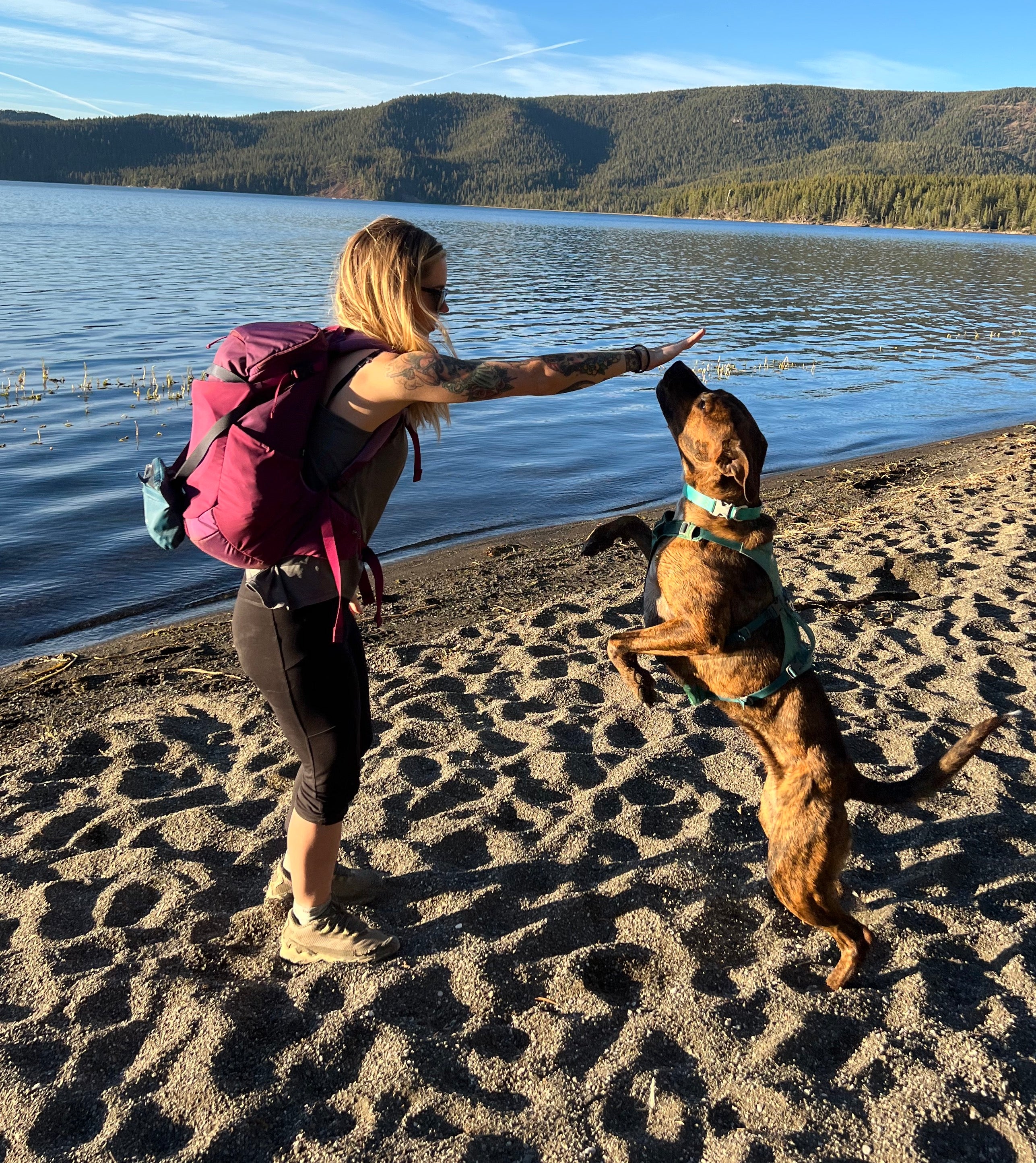 Rachel plays a game on the beach with her dog, Nova. 