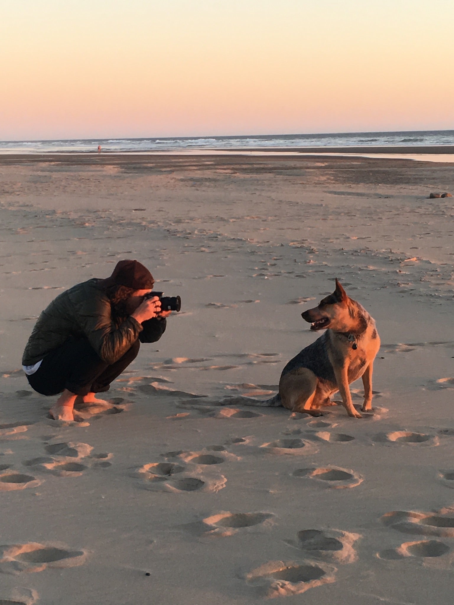 Man crouching and taking a picture of his dog on the beach