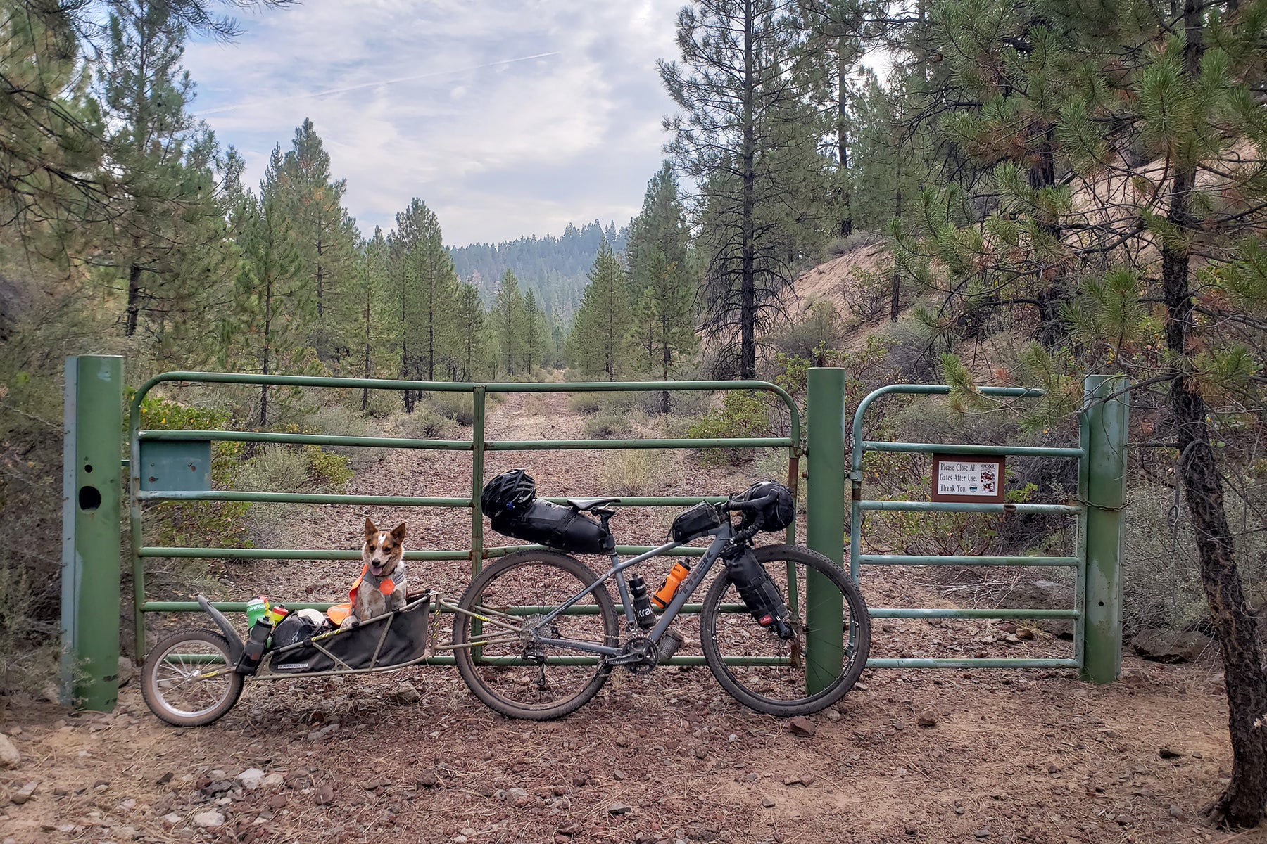 Emma in her trailer behind Kristen's gravel bike loaded for bikepacking.