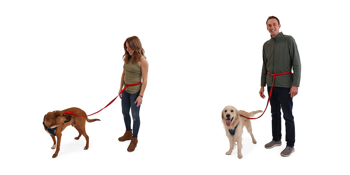 two sets of dog and human duos with the same leash