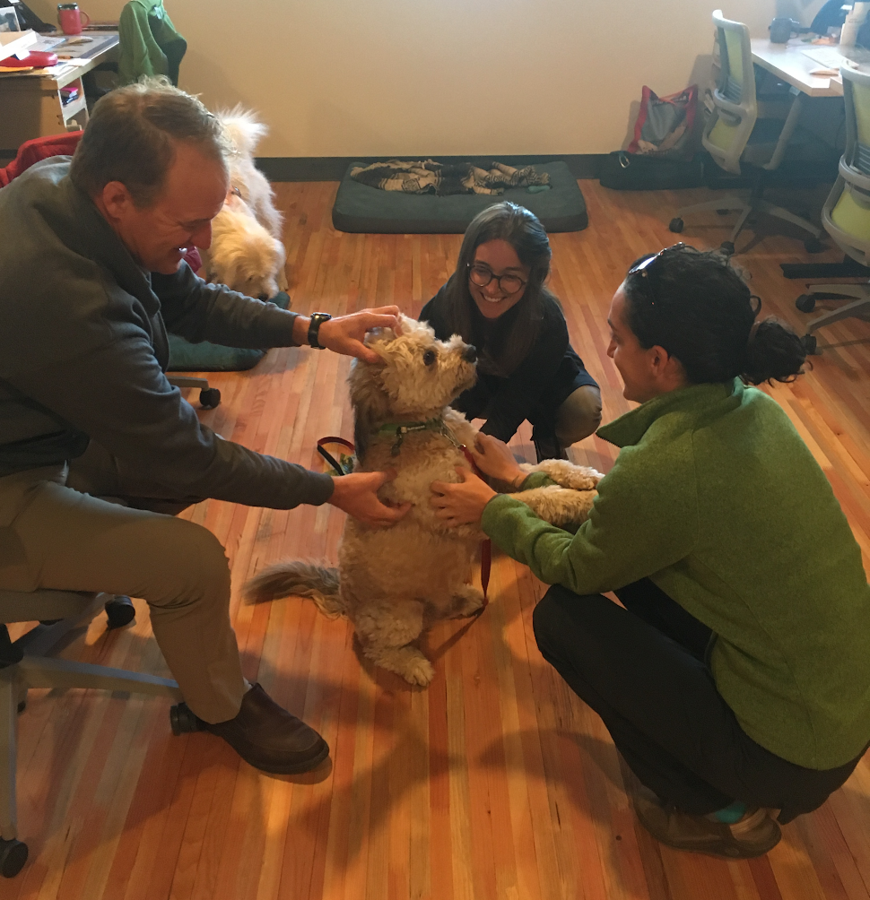 Three people pet a dog at the Ruffwear office. 