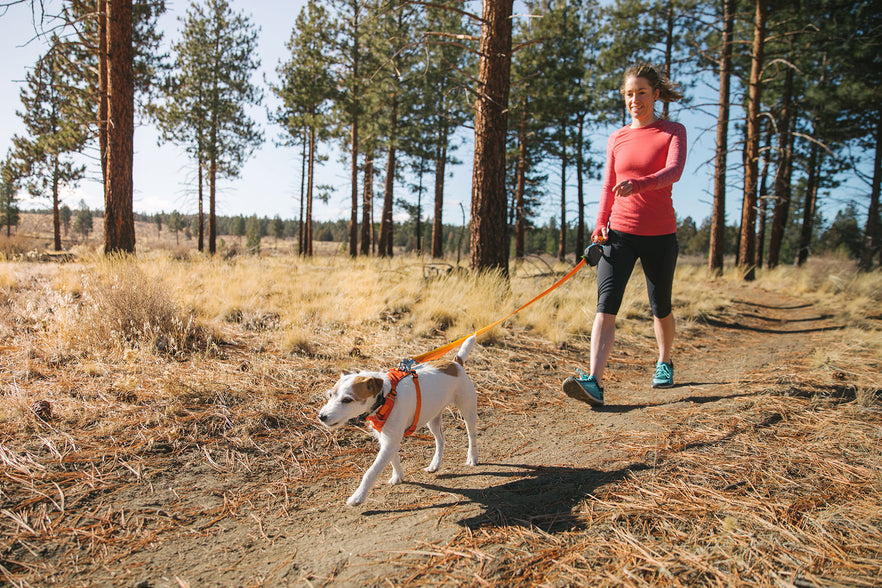 ruffwear harness