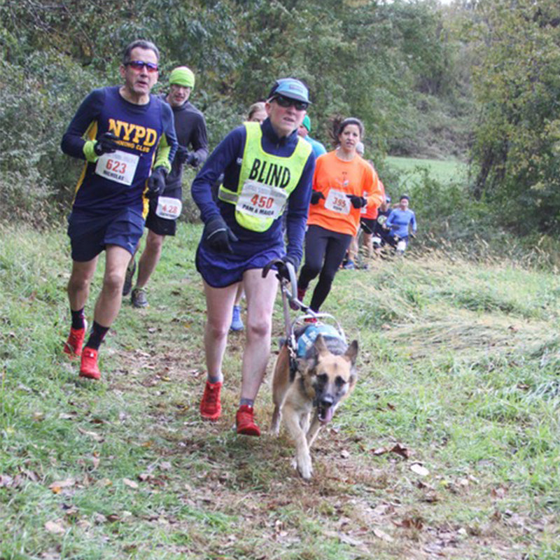 Blind runner with german shepherd guide dog in Unifly in running race.