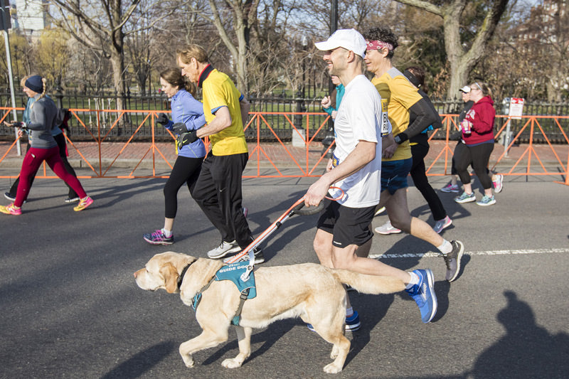 Runner with lab in Unifly harness runs in running race.