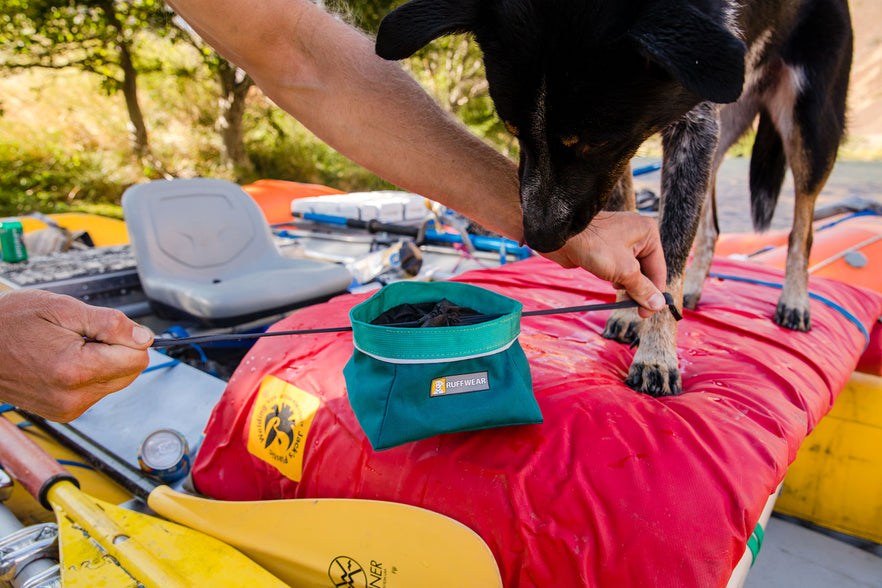 Quencher Cinch Top™ Packable Dog Bowl | Ruffwear