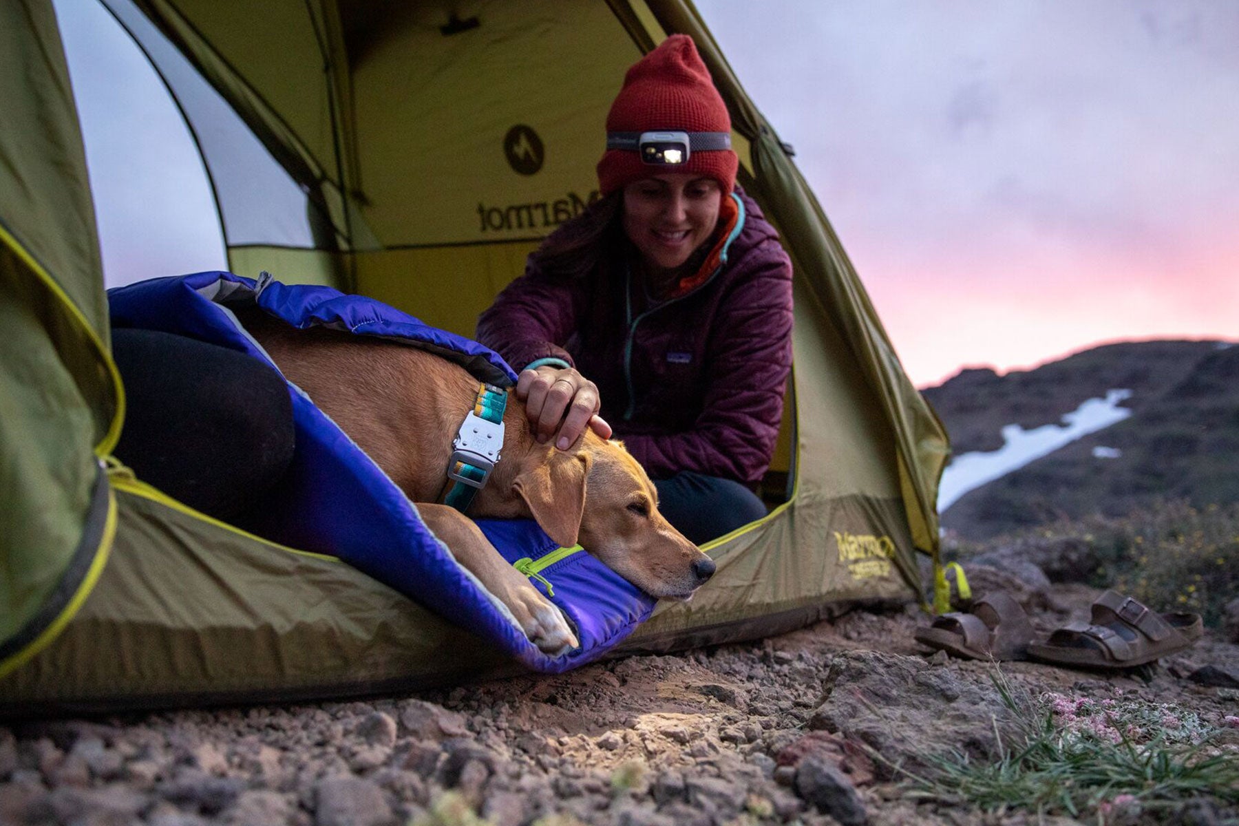 Dog and Human in camping tent at sunset