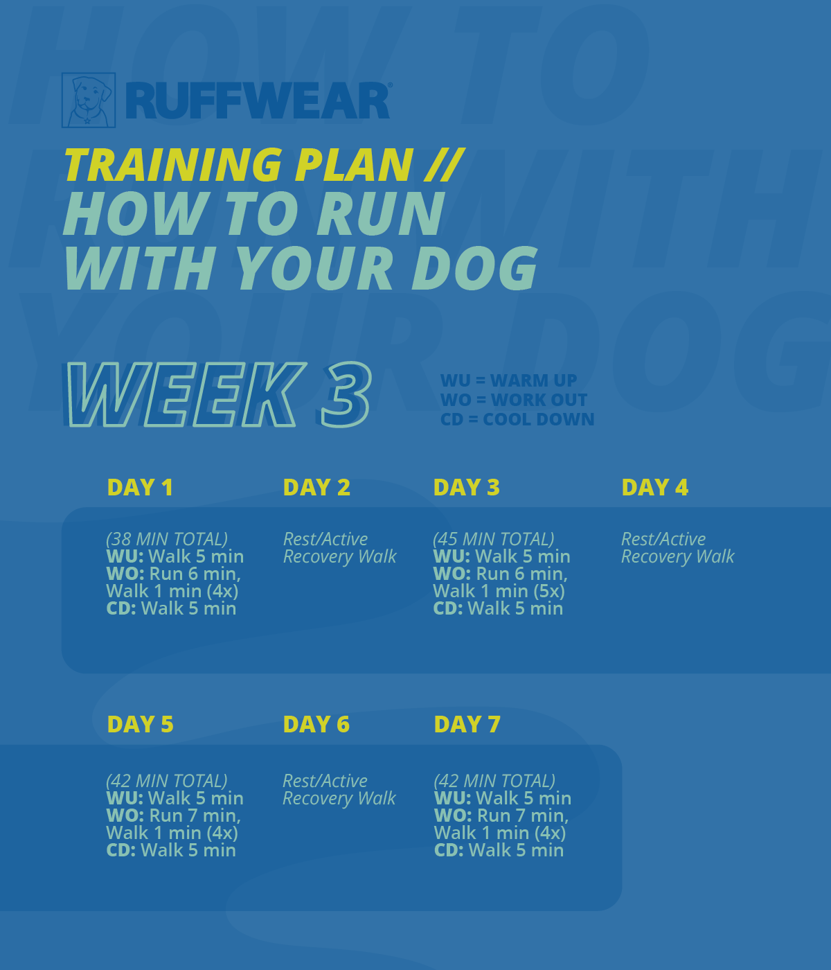 training plan for running with your dog week 3