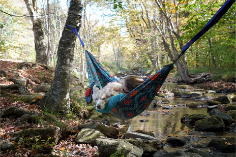 Maria & Bodie in the hammock.