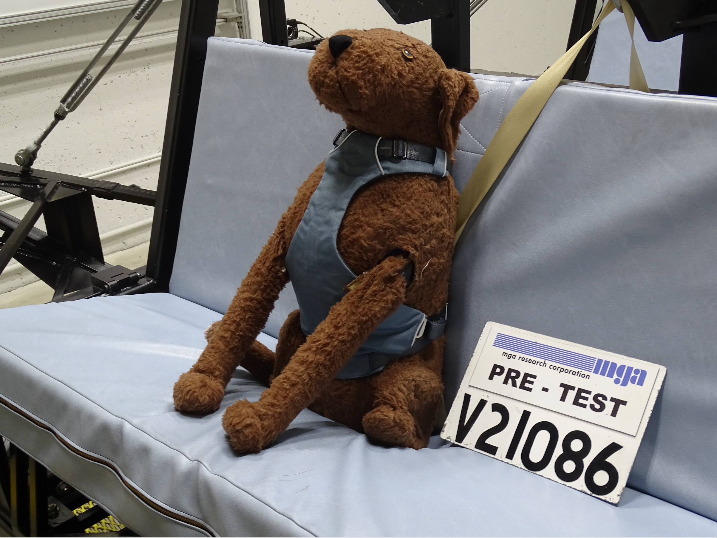 Dog mannequin wearing harness on car bench in a testing facility