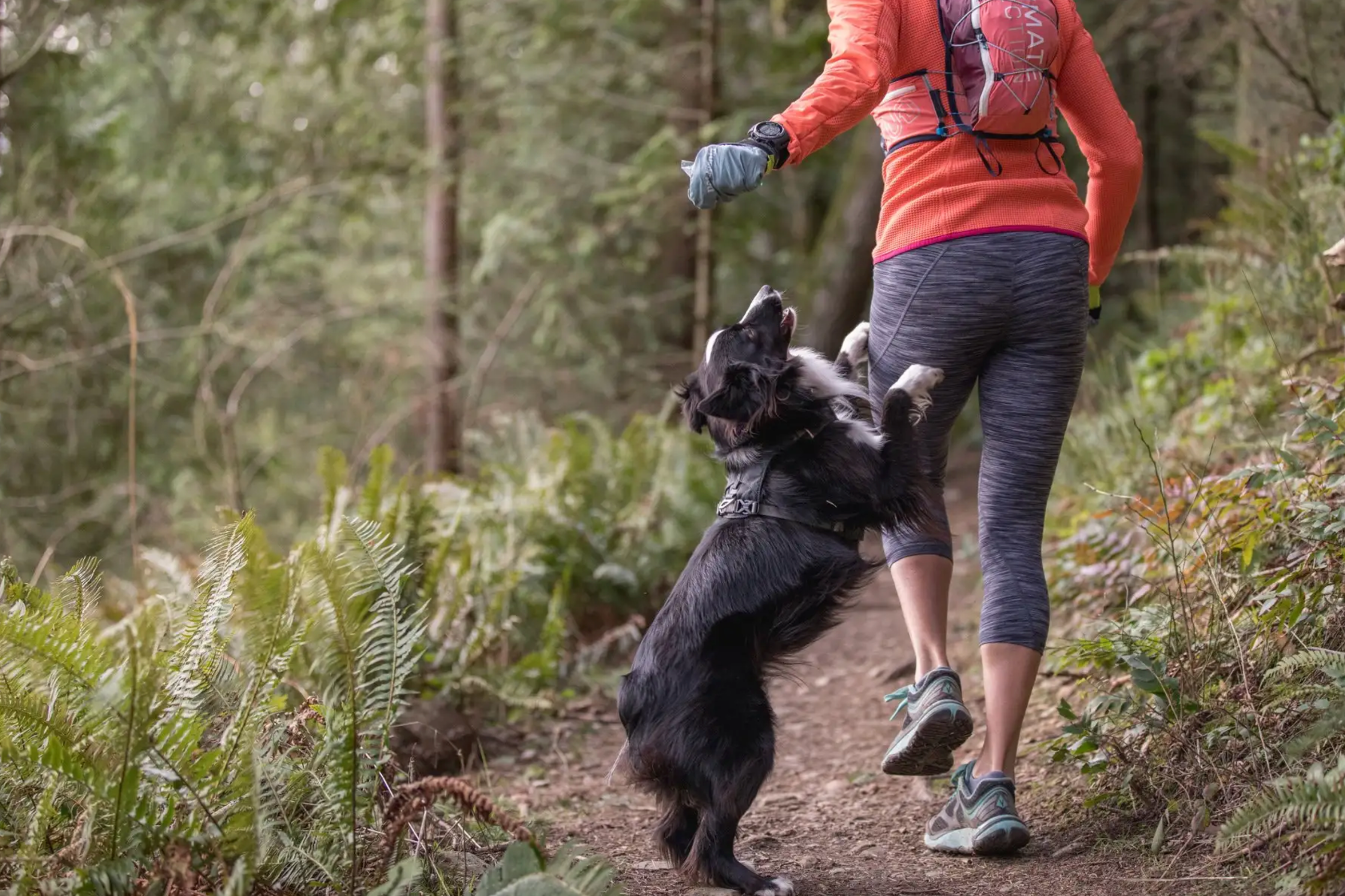 PD the dog jumps on Krissy, excited to run