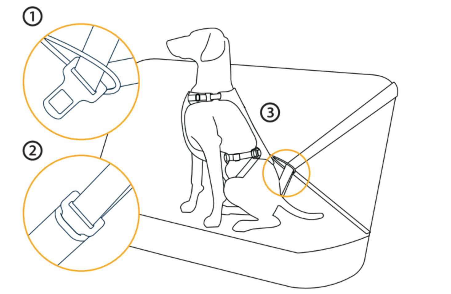 Diagram showing how to clip in the Load Up Harness