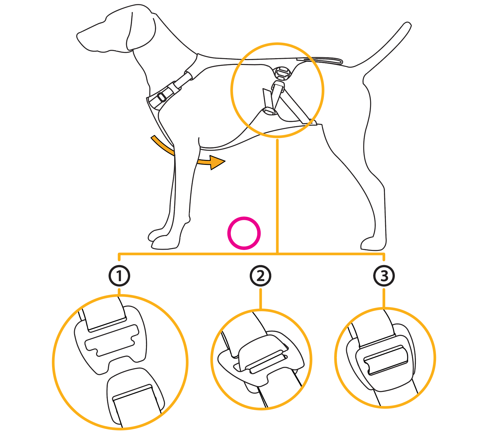 Diagram showing how to attach slide buckles on Load Up Harness