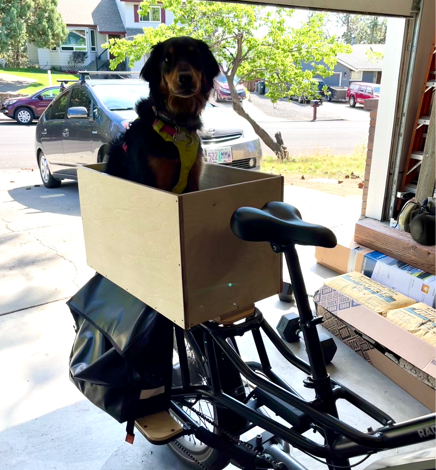 Dog in a bike cargo box