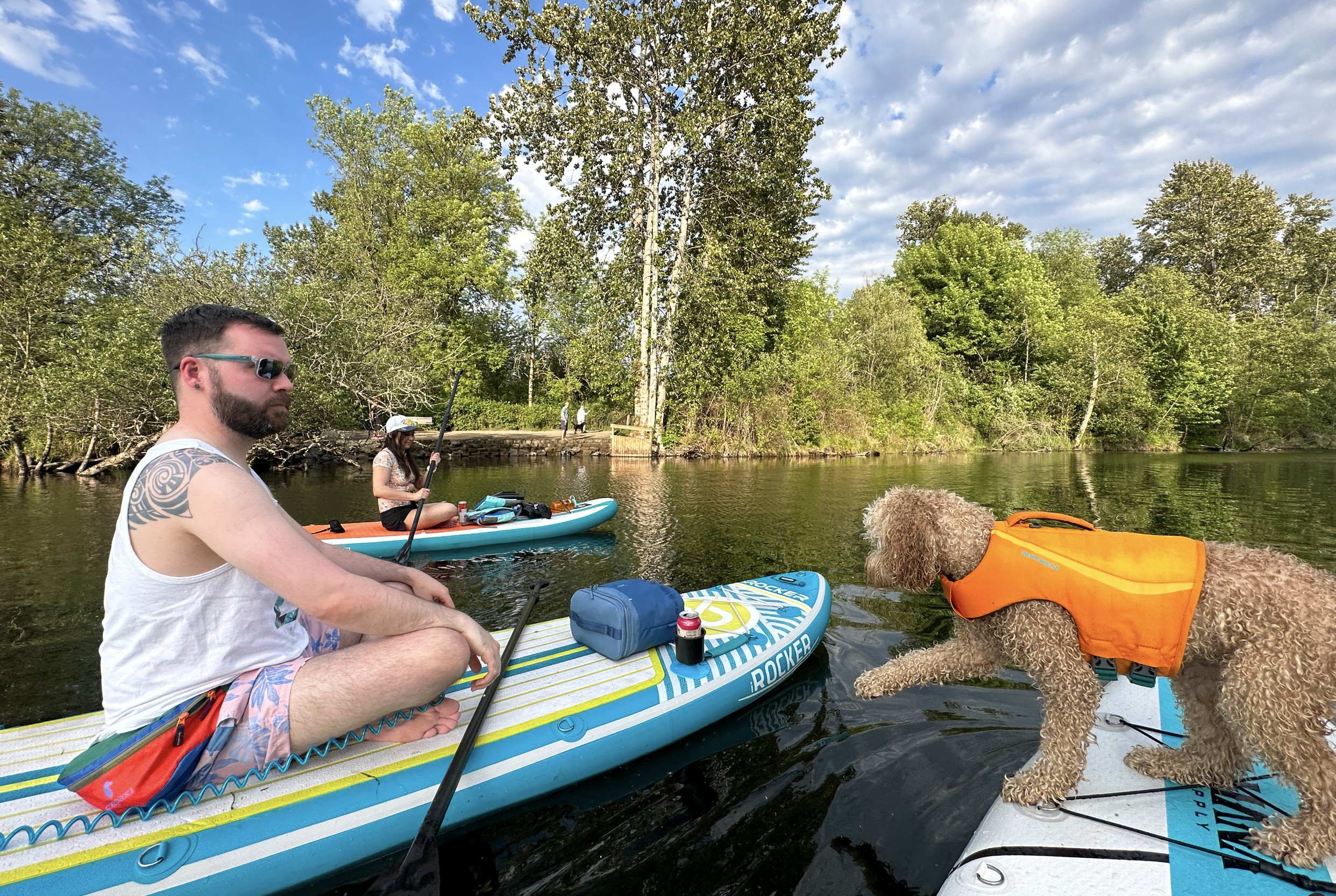 Dog stepping from one paddleboard to the next