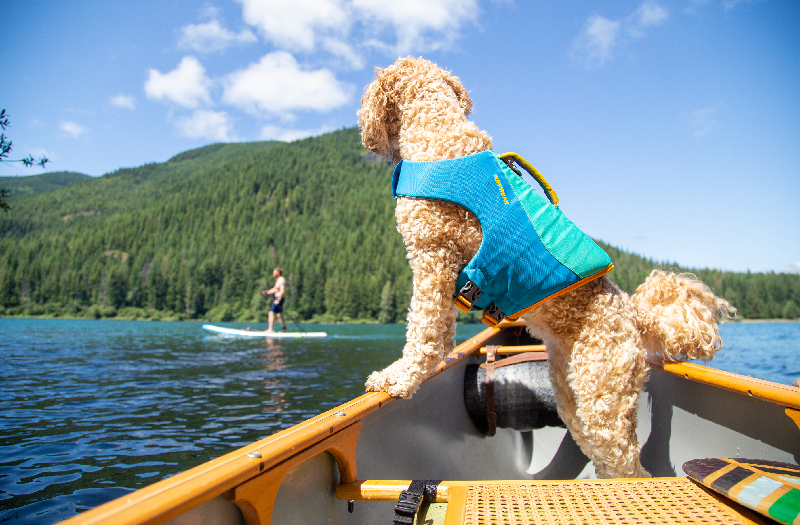 Dog wearing Ruffwear Float Coat Dog Life Jacket in a canoe