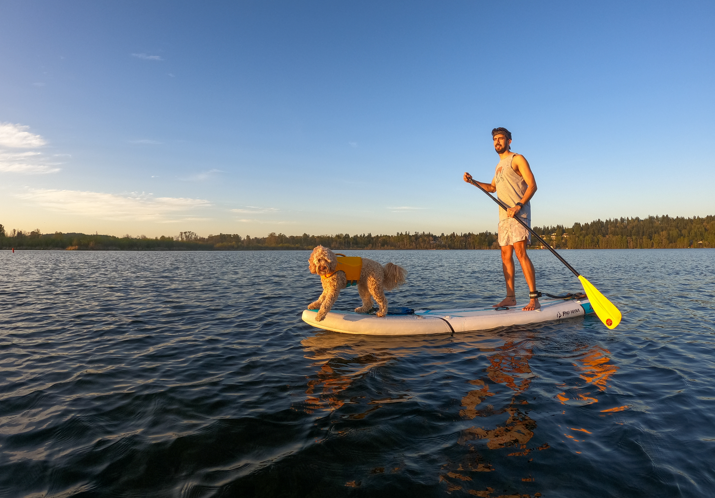 Dog in life jacket and man on paddleboard