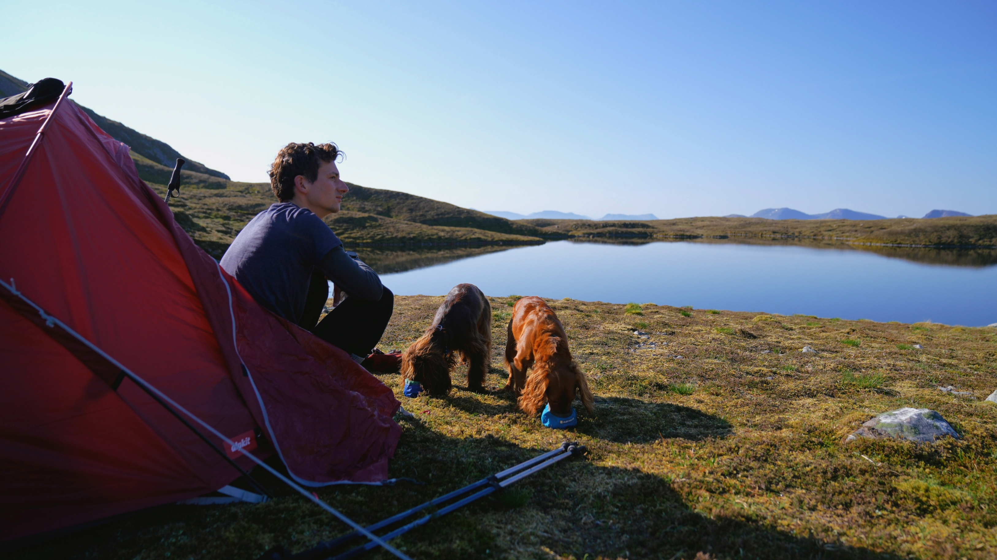 Man sits by tent while two dogs eat out of bowls