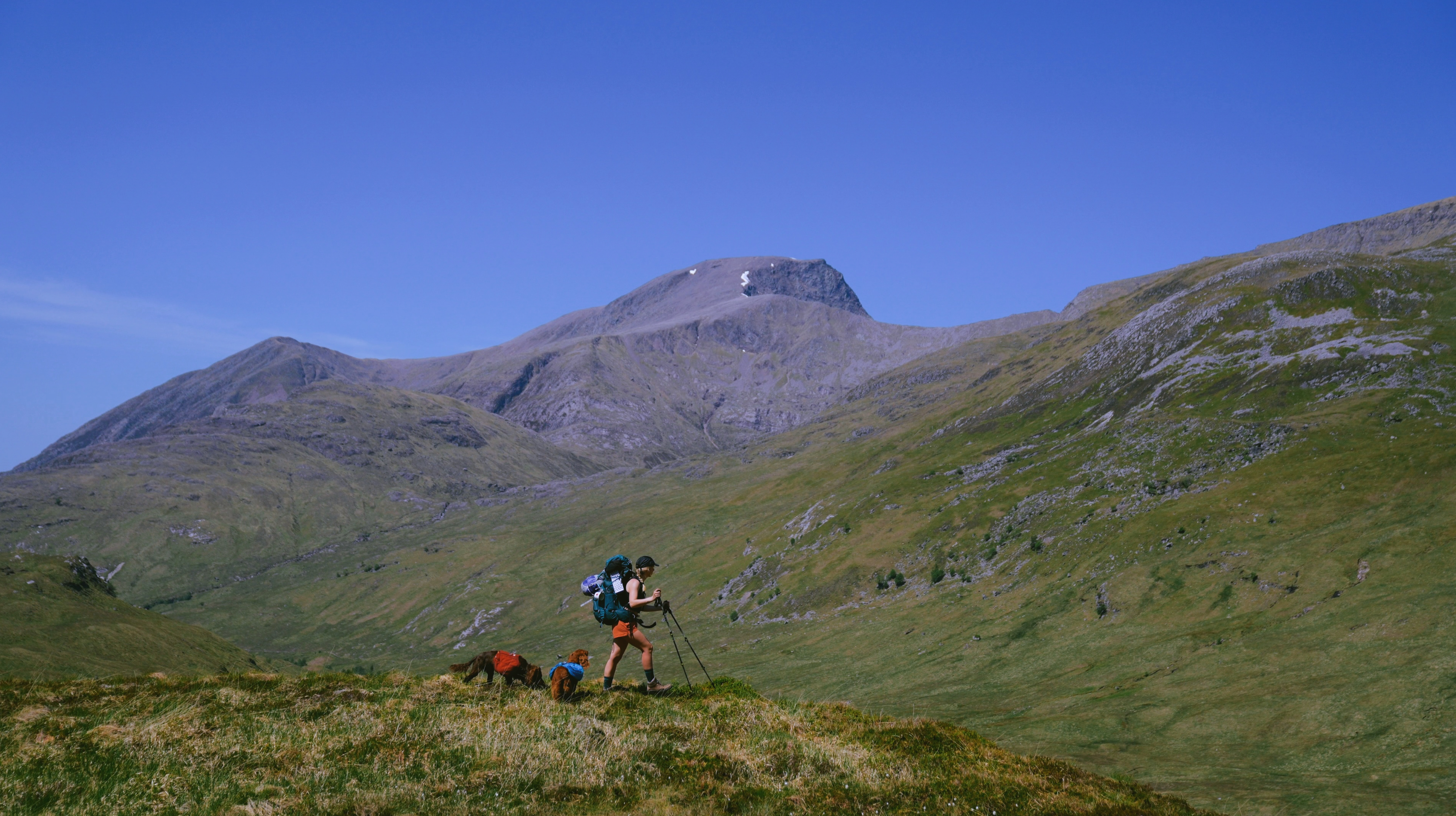 Woman backpacking with two dogs in the Scottish Highlands