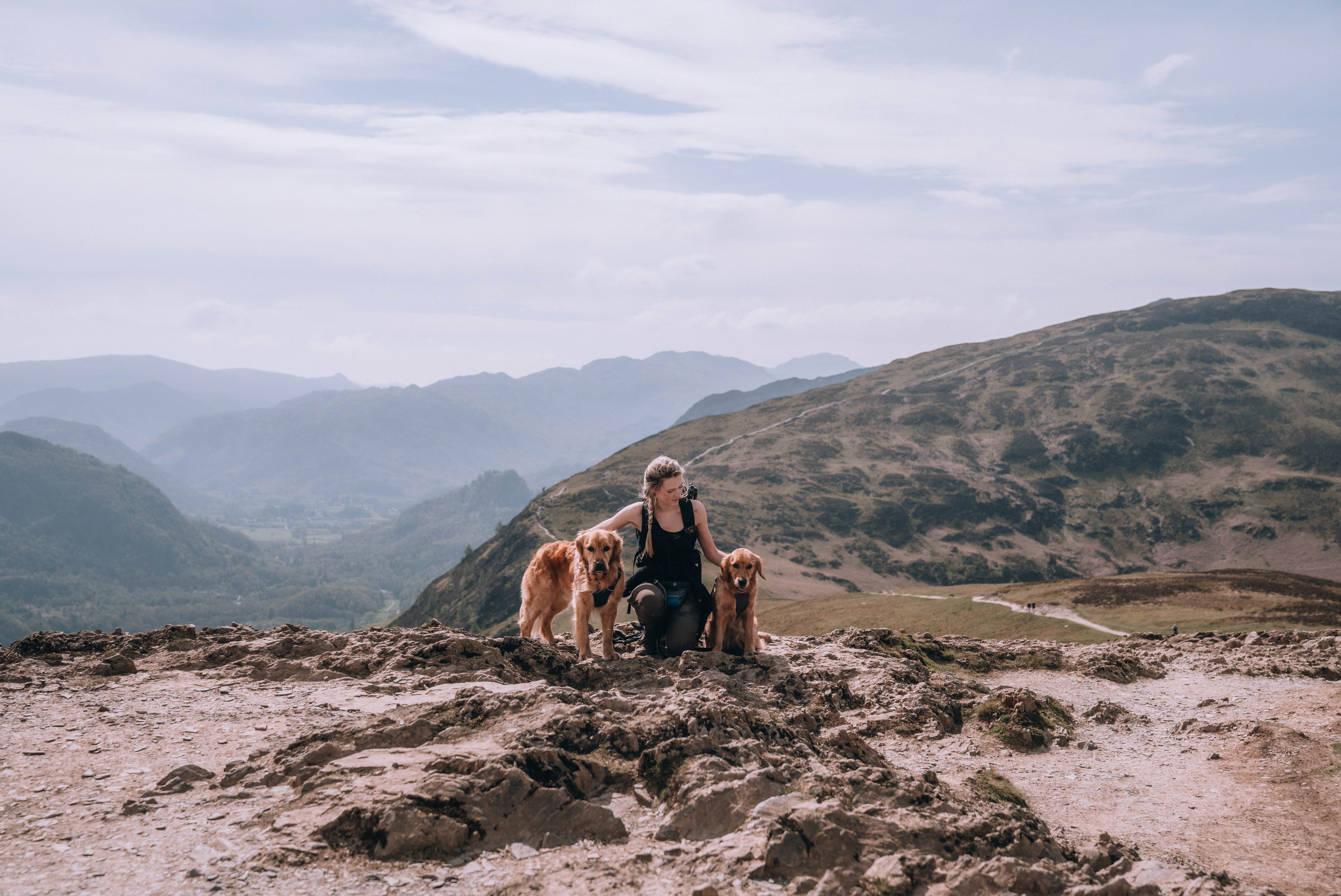 Woman and two dogs high up on a ridgeline in the mountains.