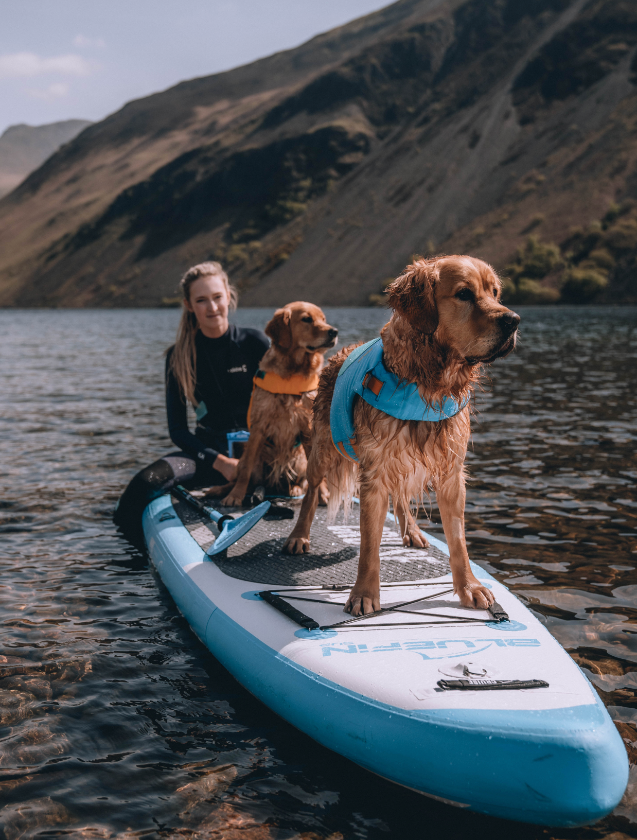 Two dogs in life jackets on a paddle board with a woman