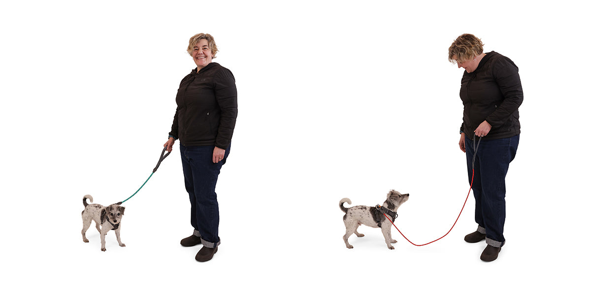 human and dog shown with both a short leash and a long leash