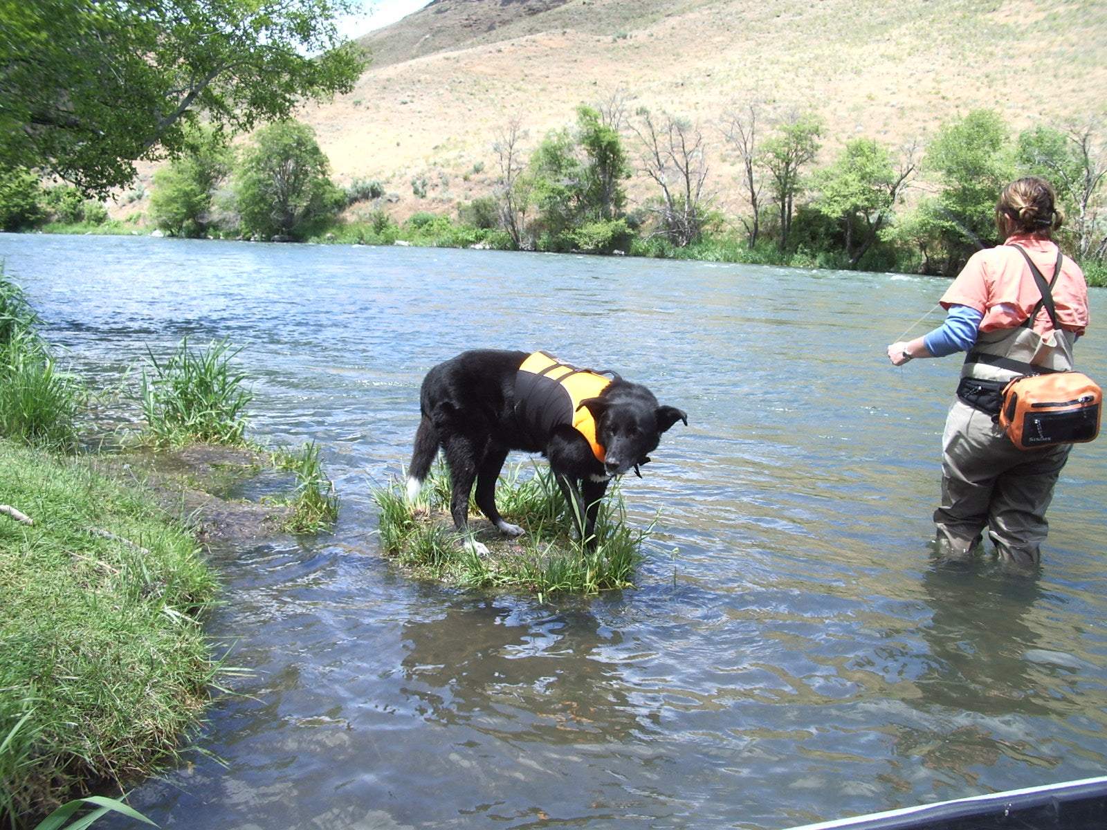Dove and her dog Sierra fishing in a river