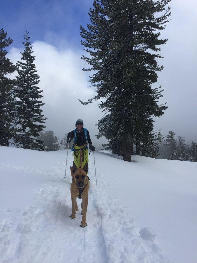 Laura skins or hikes on skis uphill with dog on leash in front of her.