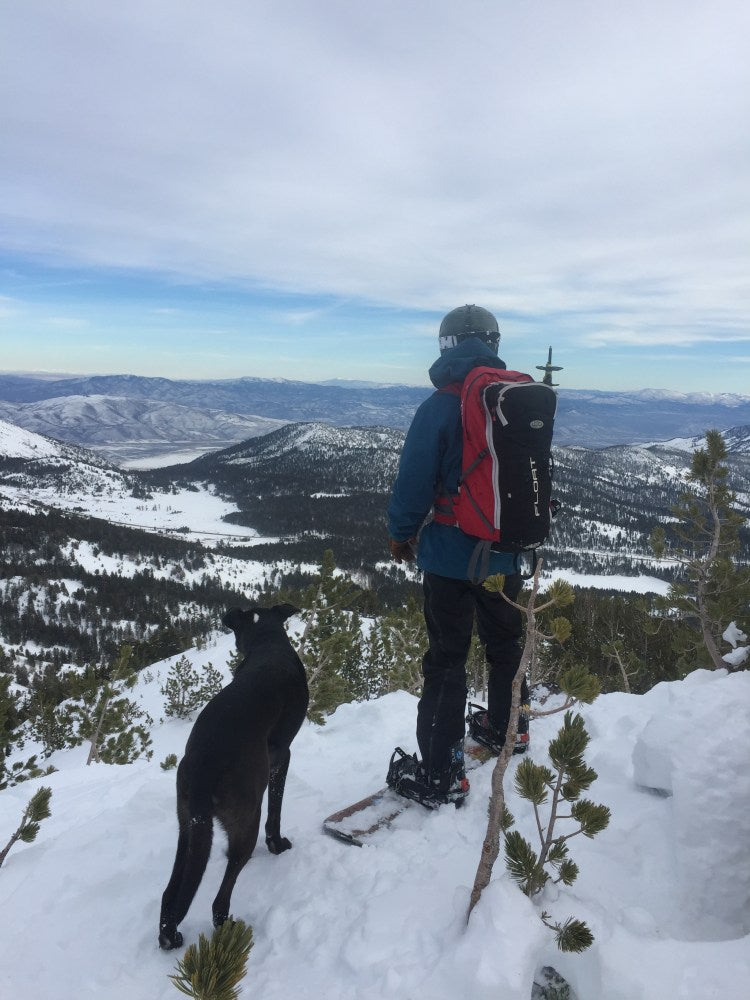 Human on snowboard stands next to dog at the top of a run.