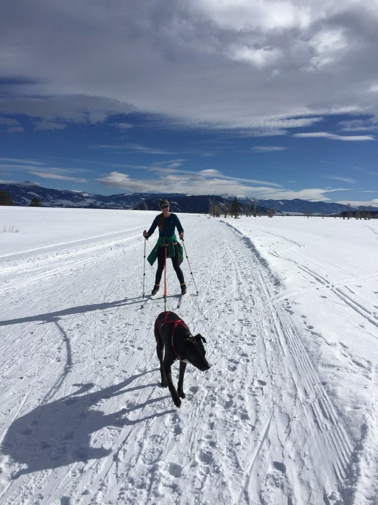 Laura skijoring with dog.