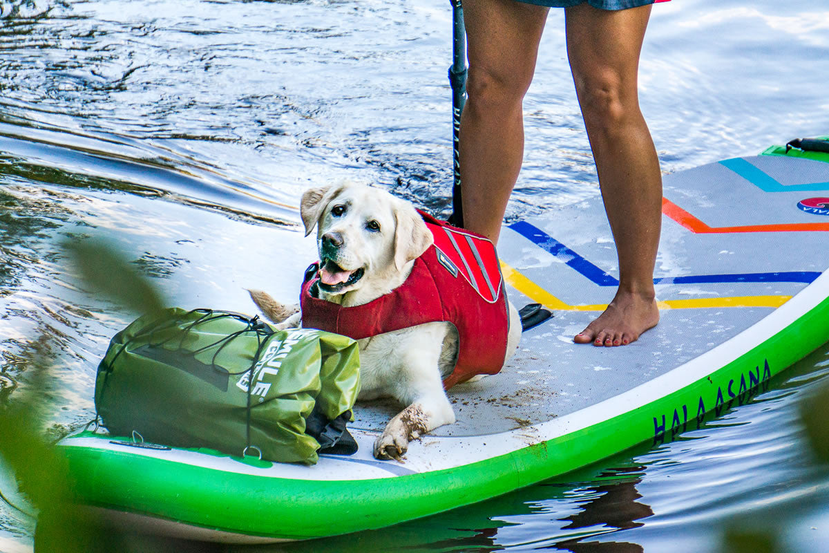Baylor in Float Coat Dog life jacket lays at Mallory's feet on a SUP.