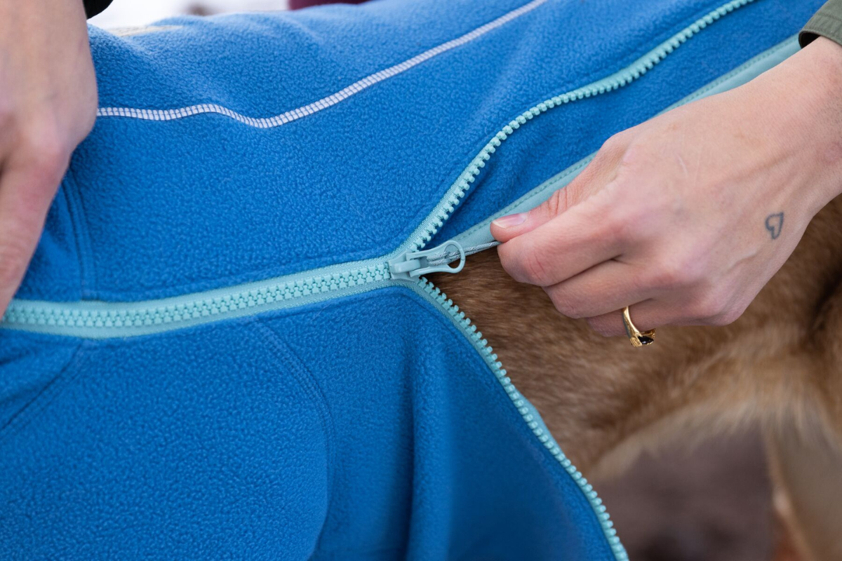 Woman zipping up her dog's jacket.