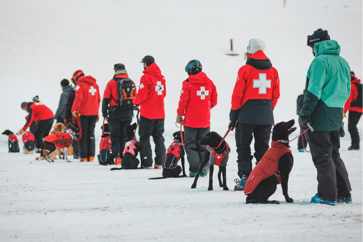 Avalanche dogs and their handlers lined up in the snow.