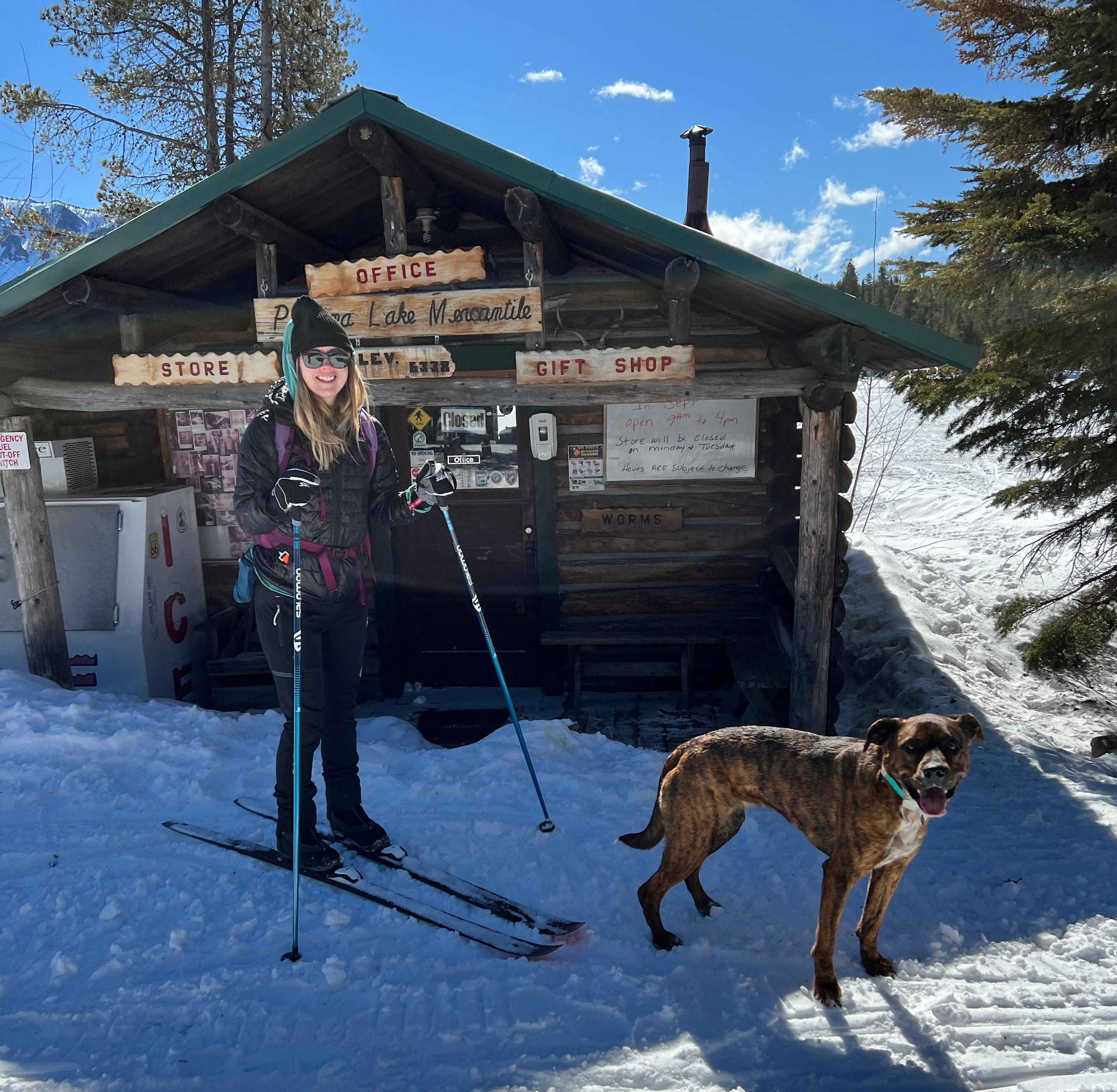 Woman and dog skiing together