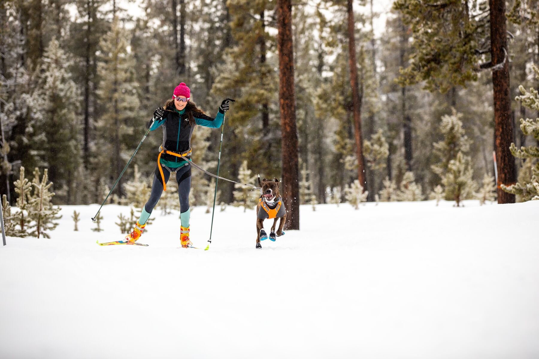 Kelly goes skijoring with dog Juniper using omnijore dog joring system.