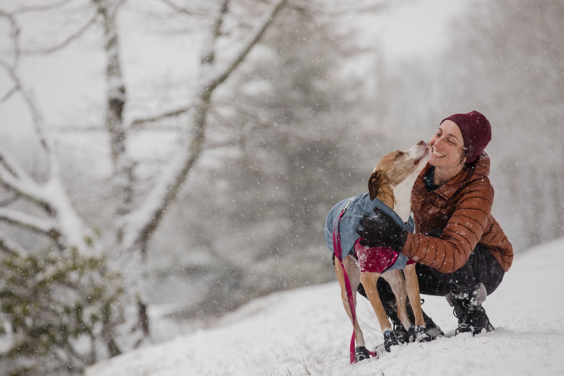 Woman stops to give pets to dog in snowy weather.