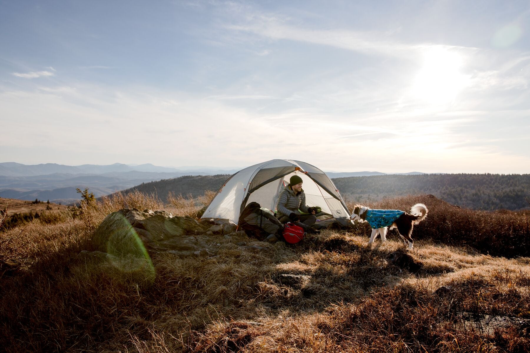 Dog in climate changer fleece stands outside of tent up in the hills.