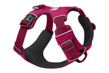 Front range harness in hibiscus pink.