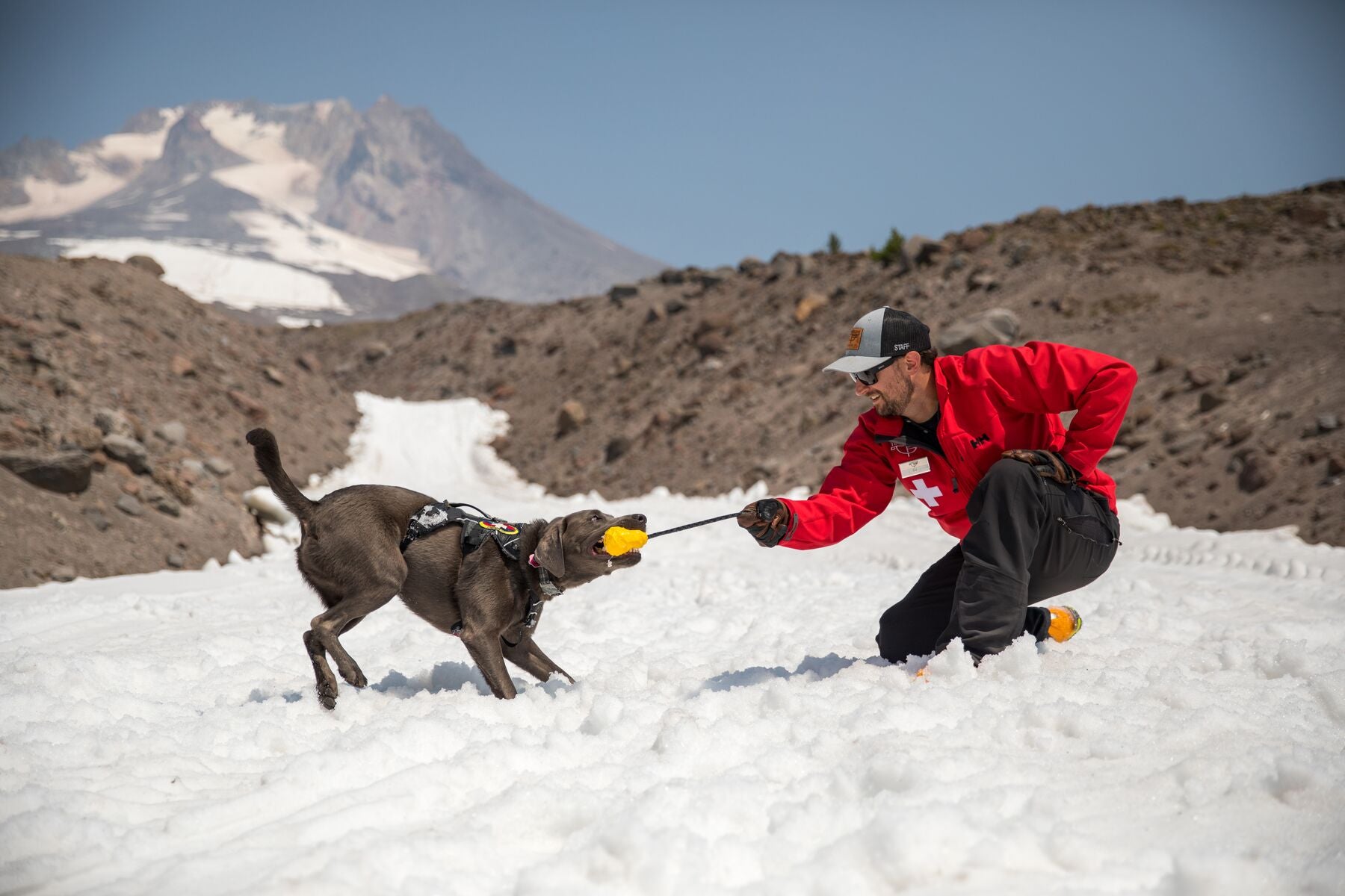 Patroller and dog play tug of war with huck a cone on Mt hood.