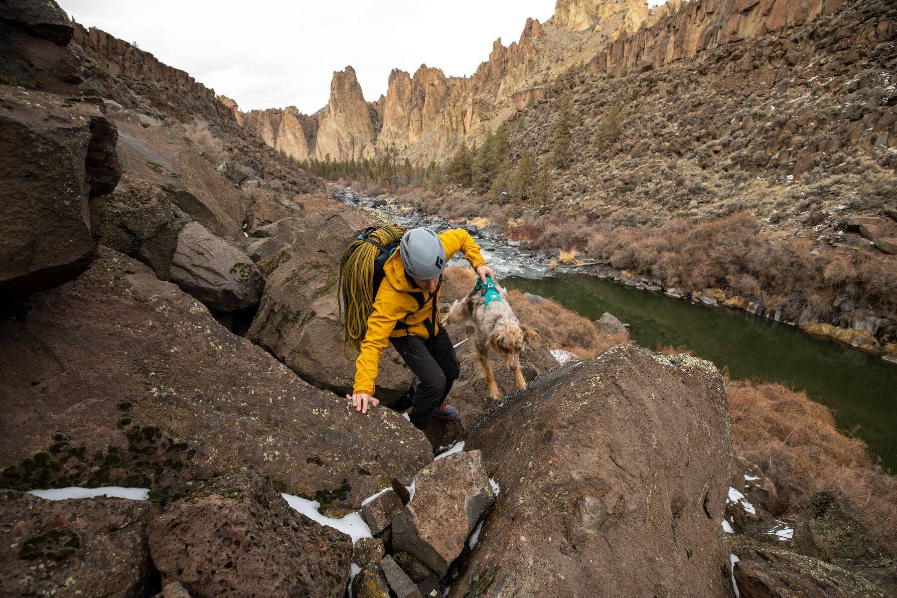 Climber lifts dog using web master harness with handle up onto rocks at the crag.