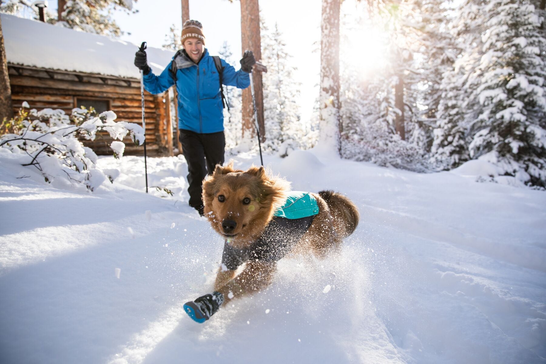 A dog wears the Cloud Chaser with their human, skiing.