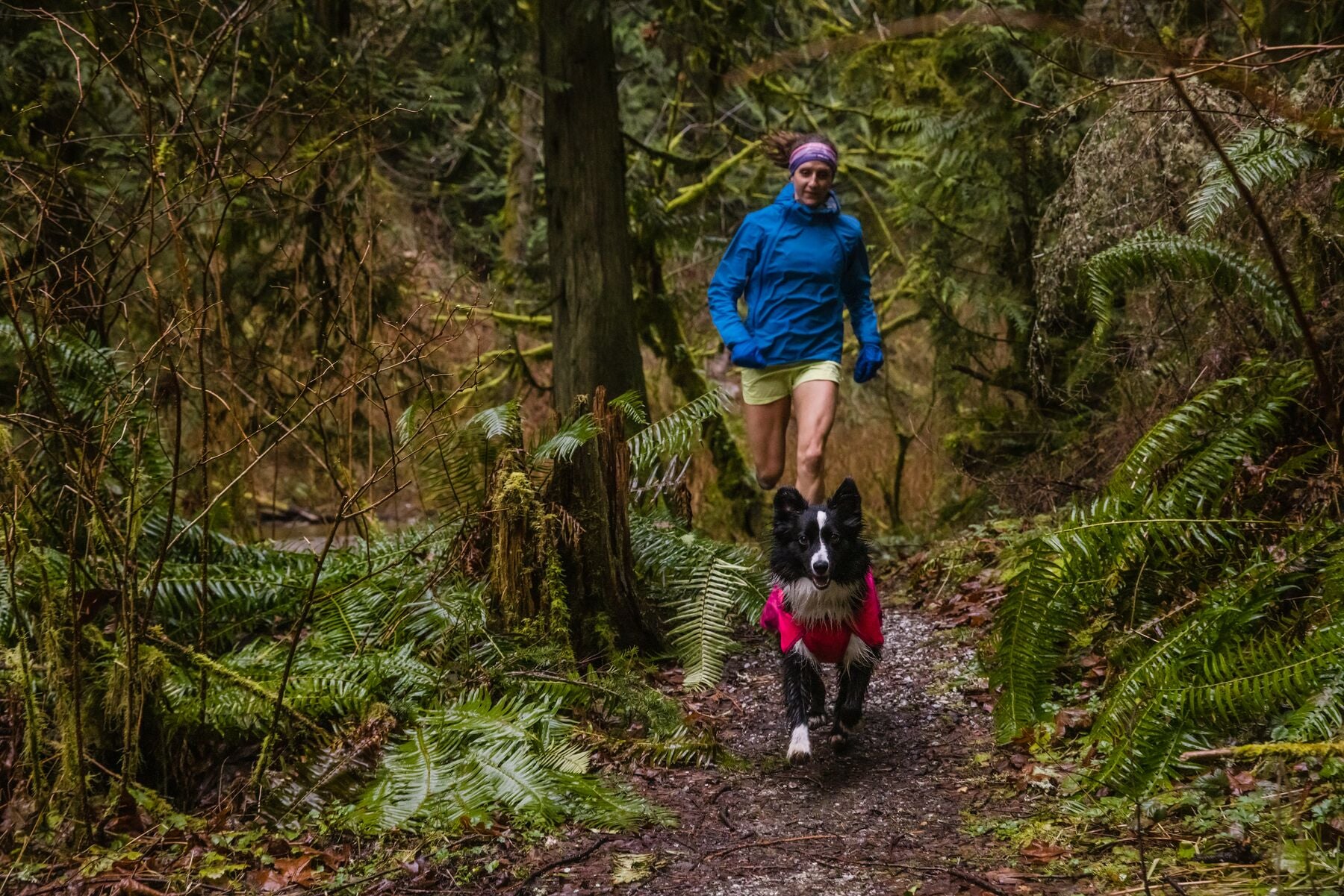 Krissy trail runs with dog PD in rain jacket through damp forest.