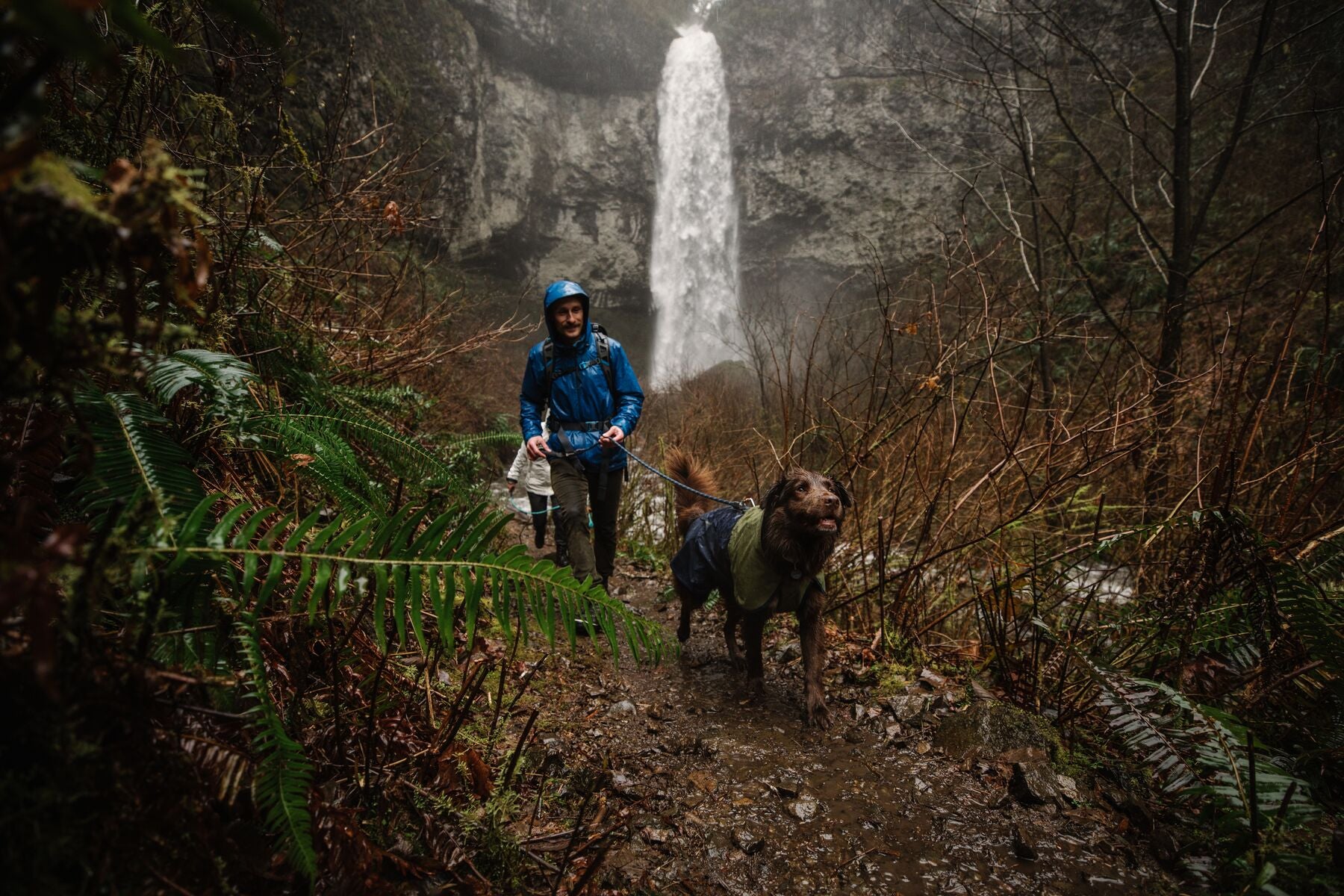 Human and dog hiking by a waterfall